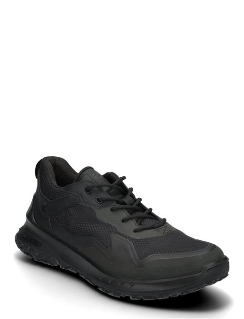 Ult-Trn M ECCO Black