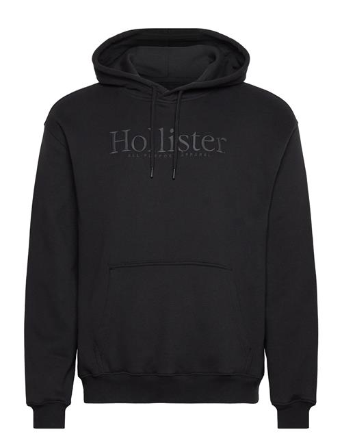 Hco. Guys Sweatshirts Hollister Black