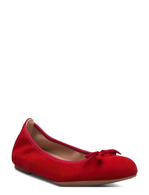 Acor_25_Ks UNISA Red