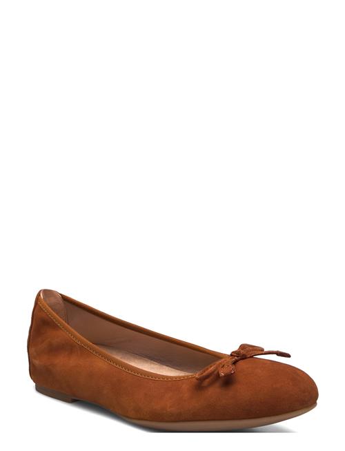 Acor_25_Ks UNISA Brown