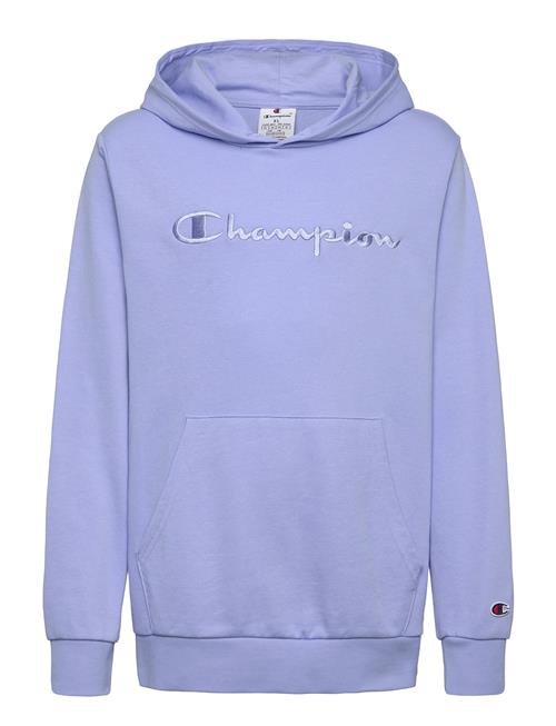 Hooded Sweatshirt Champion Blue