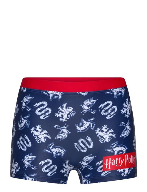 Swimsuit Harry Potter Navy