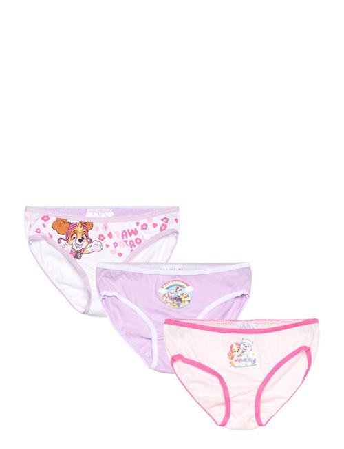 Panties Paw Patrol Purple