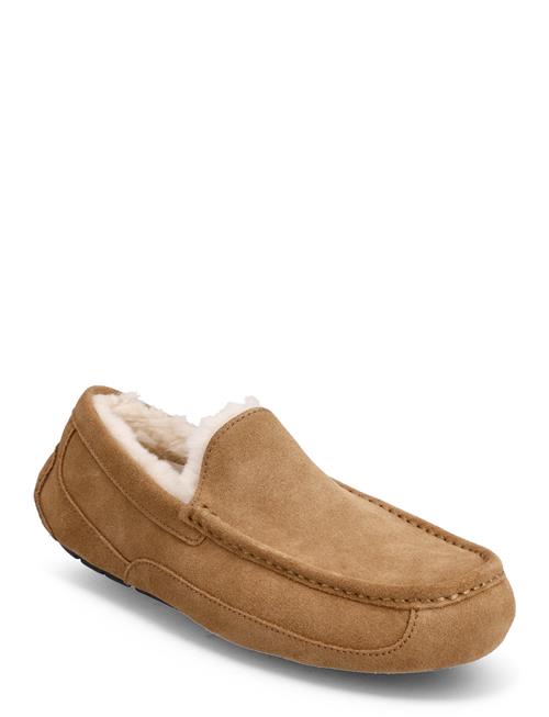 M Ascot UGG Beige