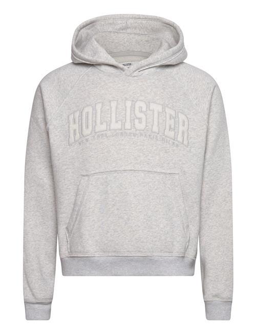 Hco. Guys Sweatshirts Hollister Grey