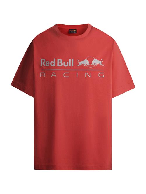 Red Bull Racing x Pepe Jeans Bluser & t-shirts  grå / blodrød