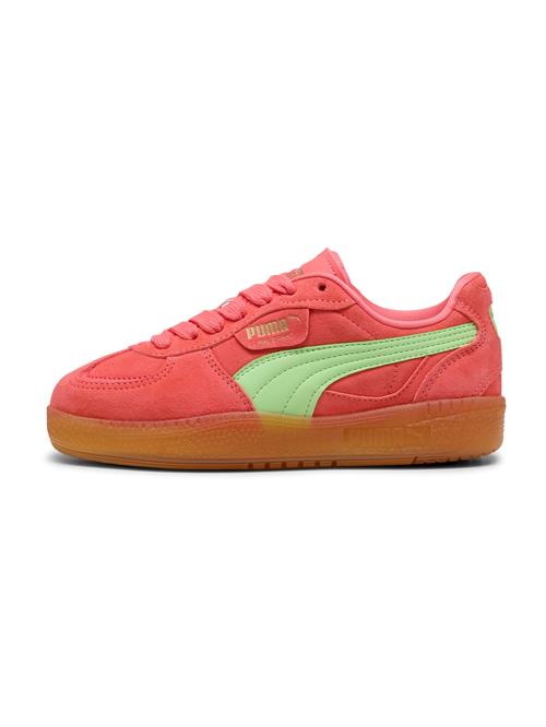 PUMA Sneaker low 'Palermo'  lysegrøn / laks