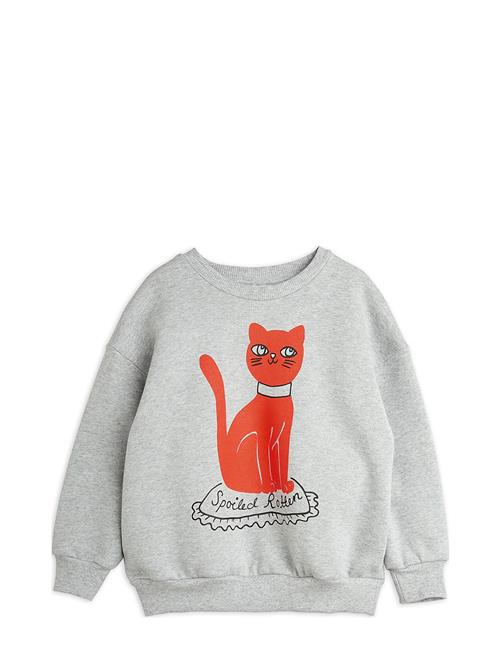 Cat Sp Sweatshirt Mini Rodini Grey