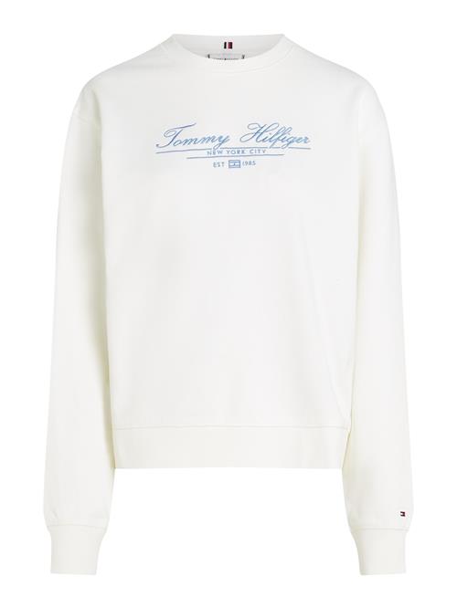 TOMMY HILFIGER Sweatshirt  himmelblå / hvid