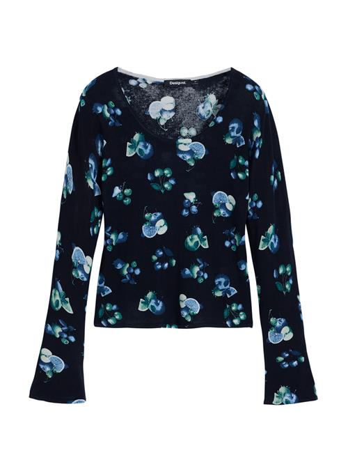 Desigual Pullover 'Fruit'  navy / mørkegrøn / sort