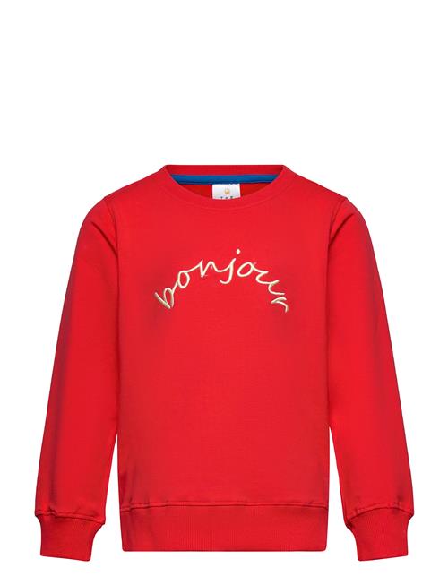 Tnness Sweatshirt The New Red