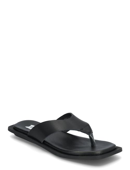 Splash Sandals Steve Madden Black