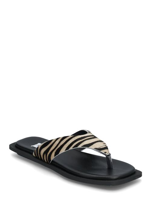 Splash-L Sandals Steve Madden Black