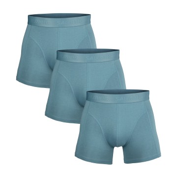 Salming Sports AB Salming 3P Bamboo Boxer Blå Small Herre