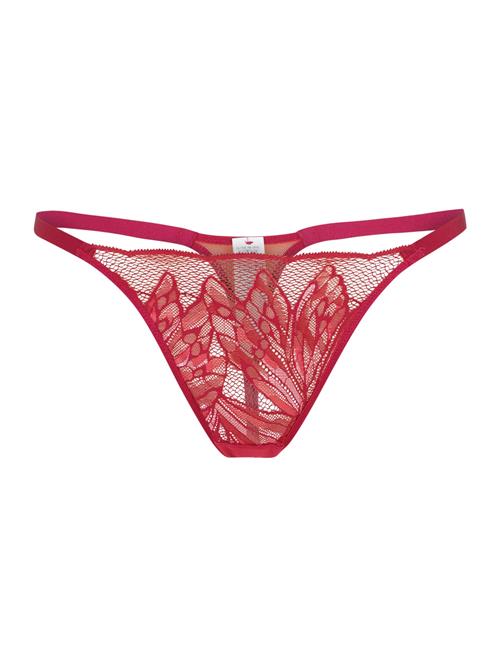 TRIUMPH String 'Crazy Stupid Love'  mørk pink