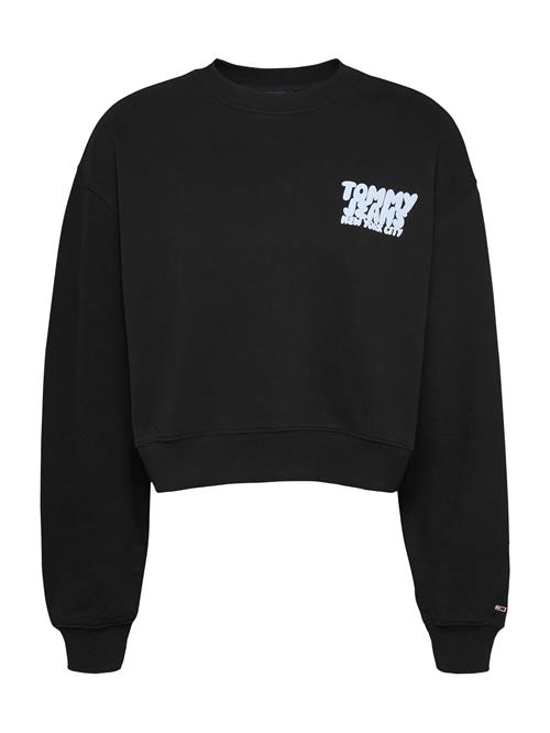 Tommy Jeans Sweatshirt  himmelblå / sort