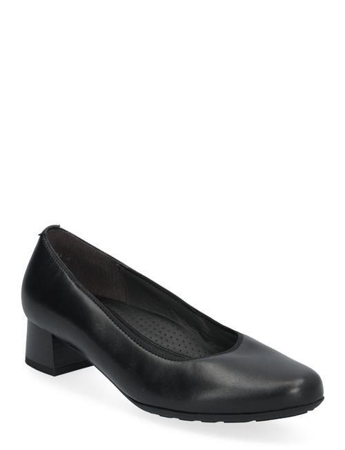 Pumps Gabor Black