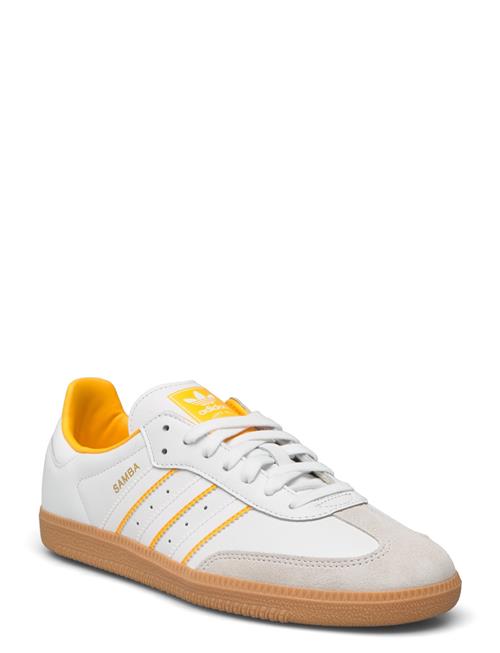 Samba Og Adidas Originals White