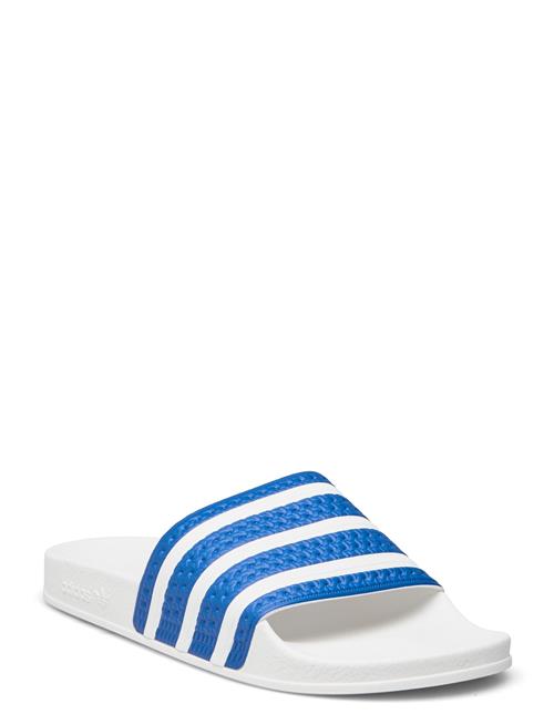 Se Adilette Adidas Originals Blue ved Booztlet