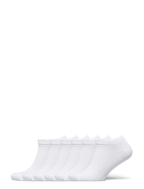 Anklesock 5-Pack Organic Resteröds White