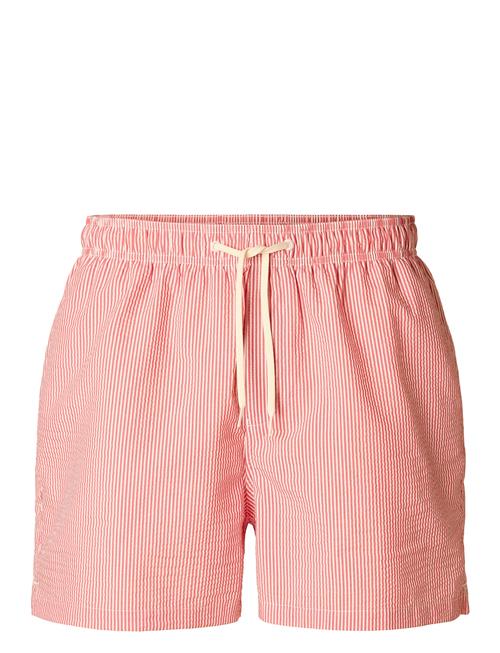 Slhcooper Seersucker Swimshorts W Selected Homme Red
