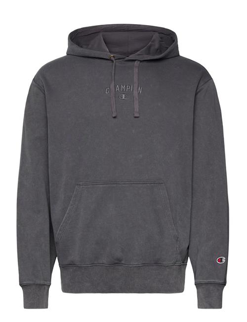 Hooded Sweatshirt Champion Grey