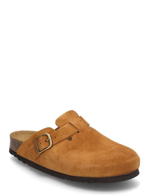 Sl Fae Suede Cognac Scholl Brown