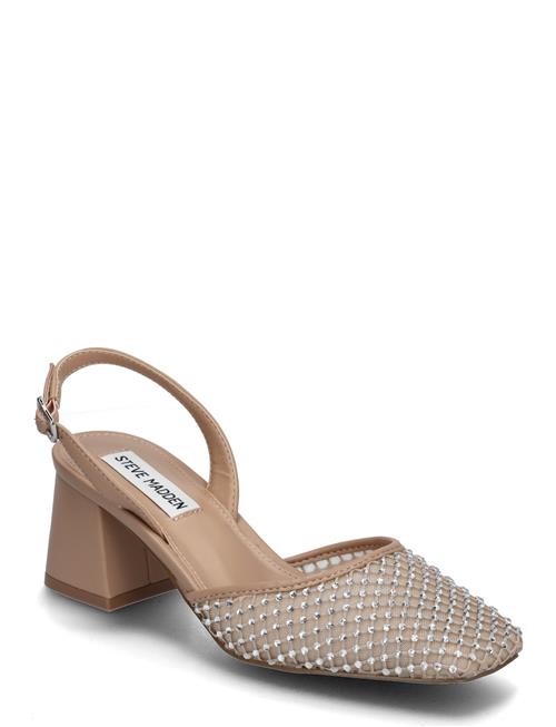Network Steve Madden Brown