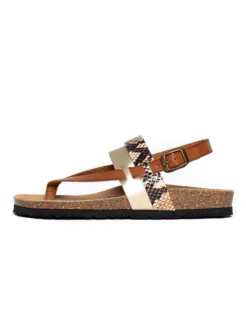 Bayton Sandaler med rem 'Lajas'  brun / guld