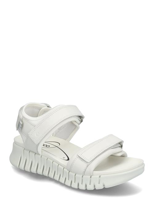 Gruuv Sol W ECCO White