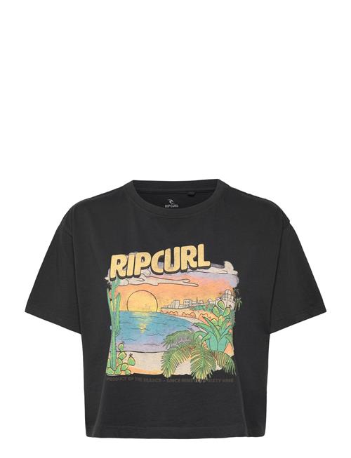 La Paloma Crop Tee Rip Curl Black