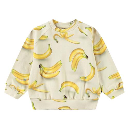 Molo Disc  Babynanas 92 cm  Beige  92 cm  Unisex