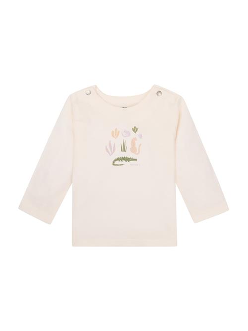 Noppies Shirts 'Omro'  grøn / lyselilla / orange / hvid