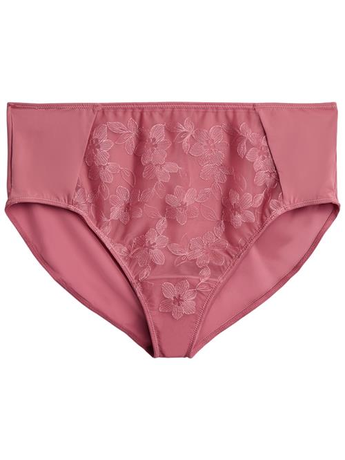 Devoted by Zizzi Slip 'Linett'  merlot