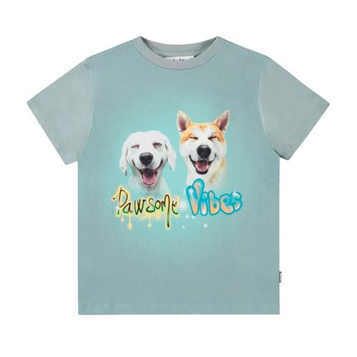 Molo Rame Short Sleeve T-Shirt Pawsome Vibes 140 cm  Blå  140 cm  mand