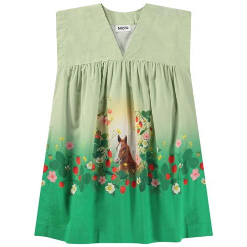 Se Molo Cajla Kjole Beauty 3-5 Y  Grøn  3-5 år  kvinde ved Babyshop