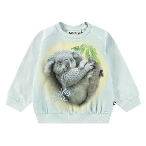 Molo Disc  Koalaty Time 98 cm  Blå  98 cm  Unisex