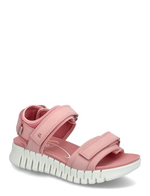 Gruuv Sol W ECCO Pink