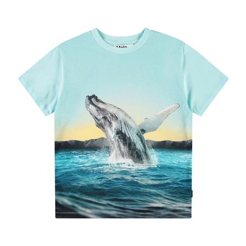 Molo Rame Short Sleeve T-Shirt Whale Jump 110 cm  Blå  110 cm  mand