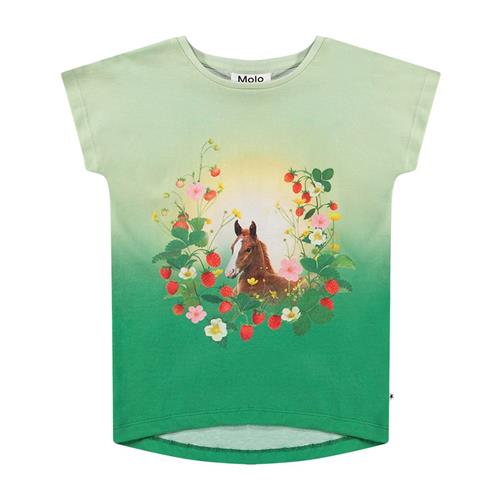Molo Ragnhilde T-Shirt Beauty 140 cm  Grøn  140 cm  kvinde