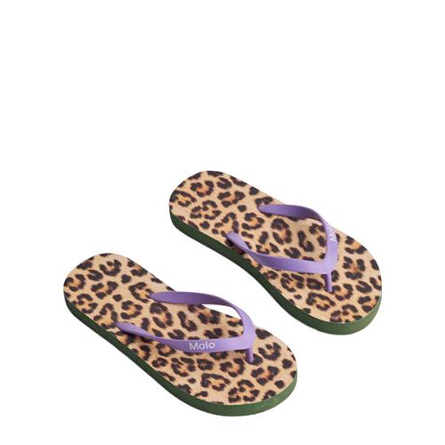 Molo Zeppo Flip-Flops Allover Leo 27-28 EU  Brun  27-28 EU  Unisex
