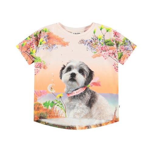 Molo Raeesa Short Sleeve T-Shirt Festivalgoers 98 cm  Orange.  98 cm  kvinde