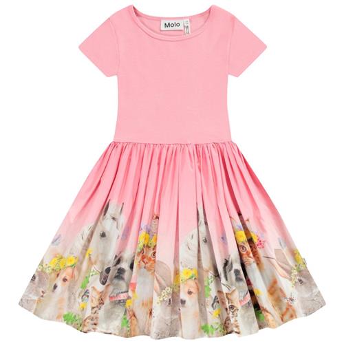 Molo Cissa Short-Sleeved Dress Midsummer 92/98 cm  Lyserød  92/98 cm  kvinde
