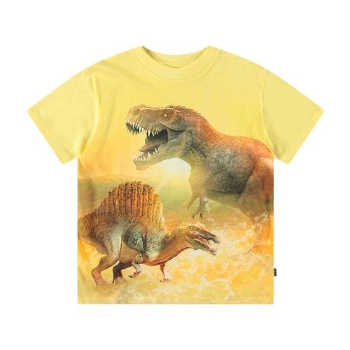 Molo Roxo Short Sleeve T-Shirt Sunny Dinos 140 cm  Gul  140 cm  mand