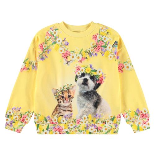 Molo Maxi Sweatshirt Sweet Maggie 104cm  Gul  104 cm  kvinde
