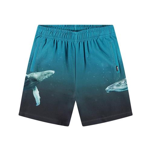 Molo Amil Soft Pants Whale Dive 116 cm  Blå  116 cm  mand