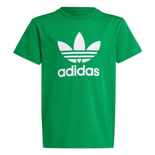 ADIDAS ORIGINALS Shirts 'Adicolor Trefoil'  gran / hvid