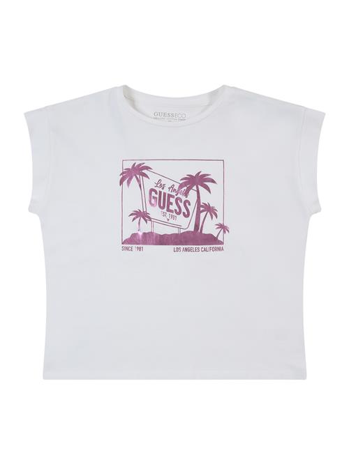 GUESS Bluser & t-shirts  orkidee / hvid