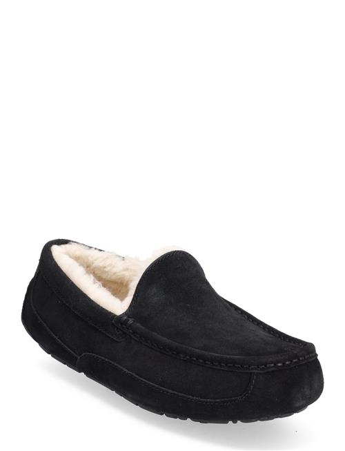 M Ascot UGG Black