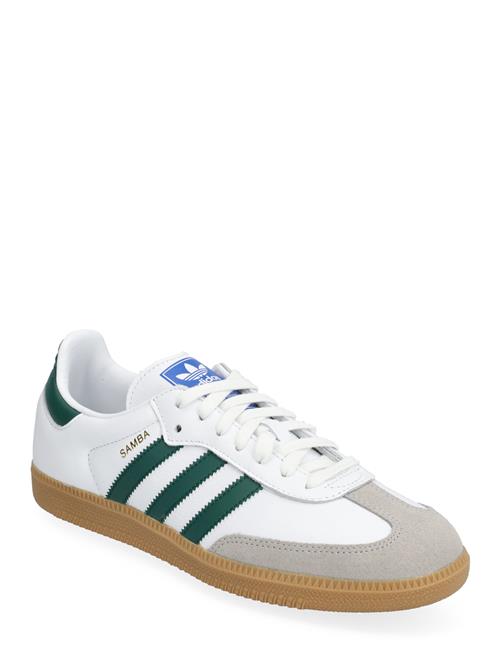 Samba Og Adidas Originals White